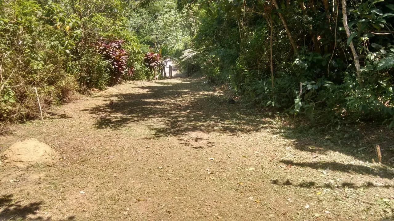 Terreno à venda de 240 ha em Angra dos Reis, RJ, Brasil