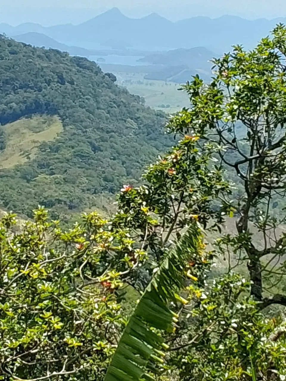 Terreno à venda de 240 ha em Angra dos Reis, RJ, Brasil
