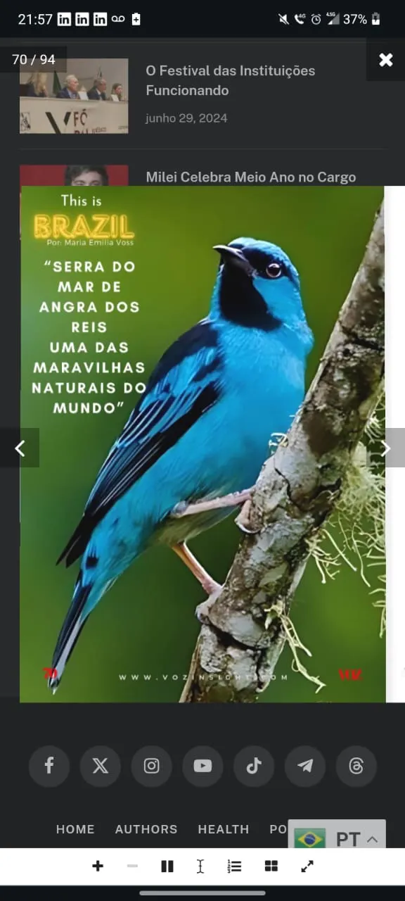 Terreno à venda de 240 ha em Angra dos Reis, RJ, Brasil