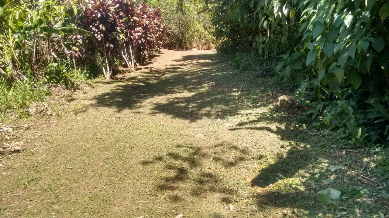 Terreno à venda de 240 ha em Angra dos Reis, RJ, Brasil