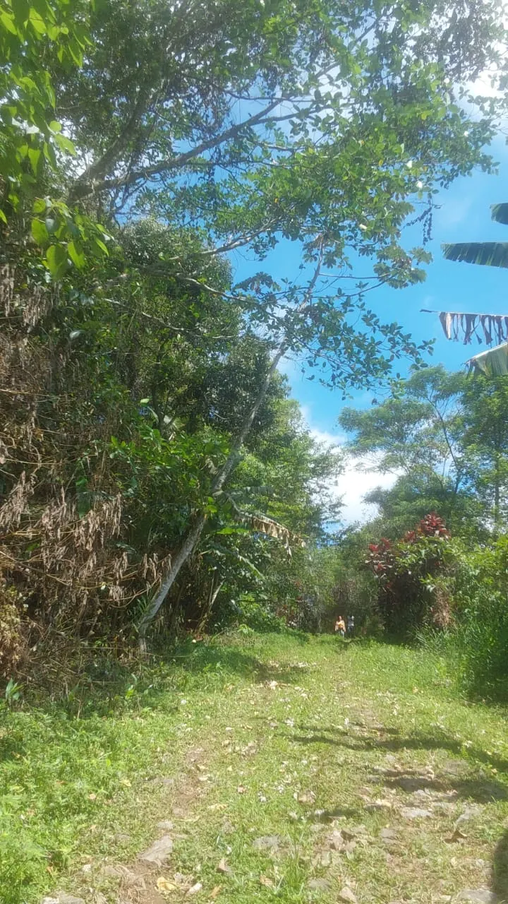 Terreno à venda de 240 ha em Angra dos Reis, RJ, Brasil