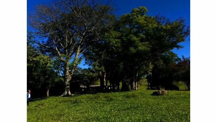 Small farm for sale of 148 acres in Taquara, RS, Brazil