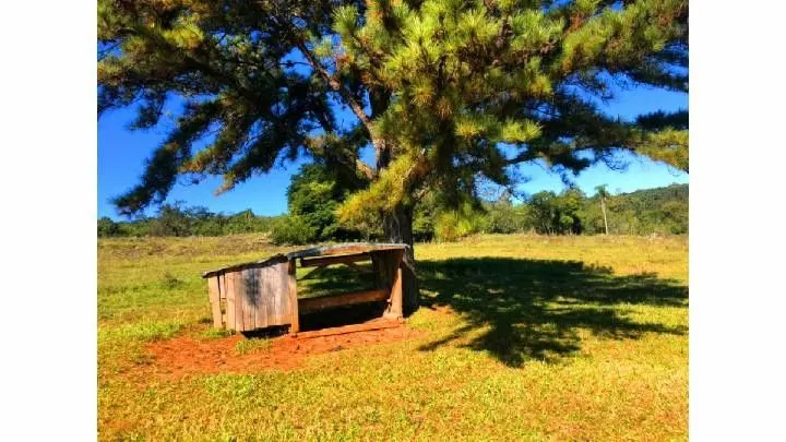 Small farm for sale of 148 acres in Taquara, RS, Brazil