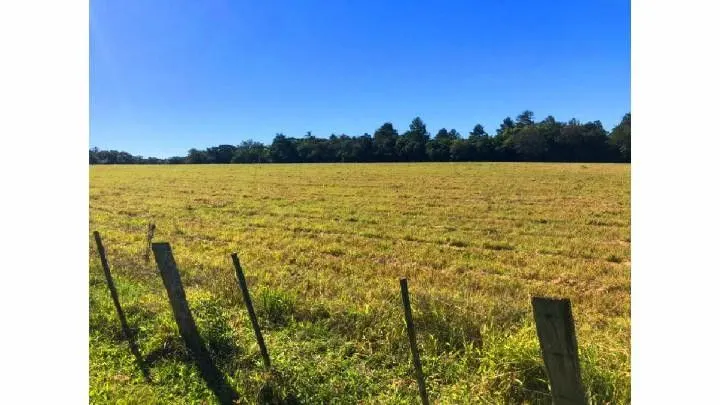 Small farm for sale of 148 acres in Taquara, RS, Brazil