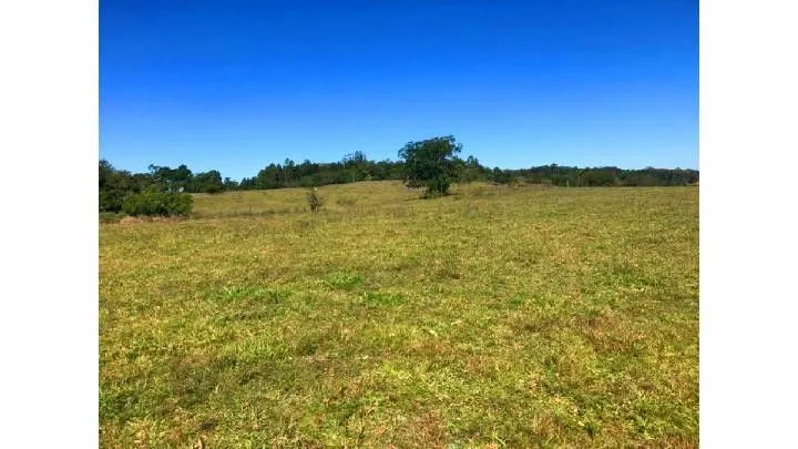 Small farm for sale of 148 acres in Taquara, RS, Brazil