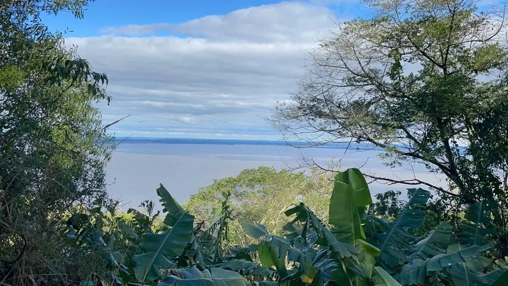 Small farm for sale of 185 acres in Osório, RS, Brazil