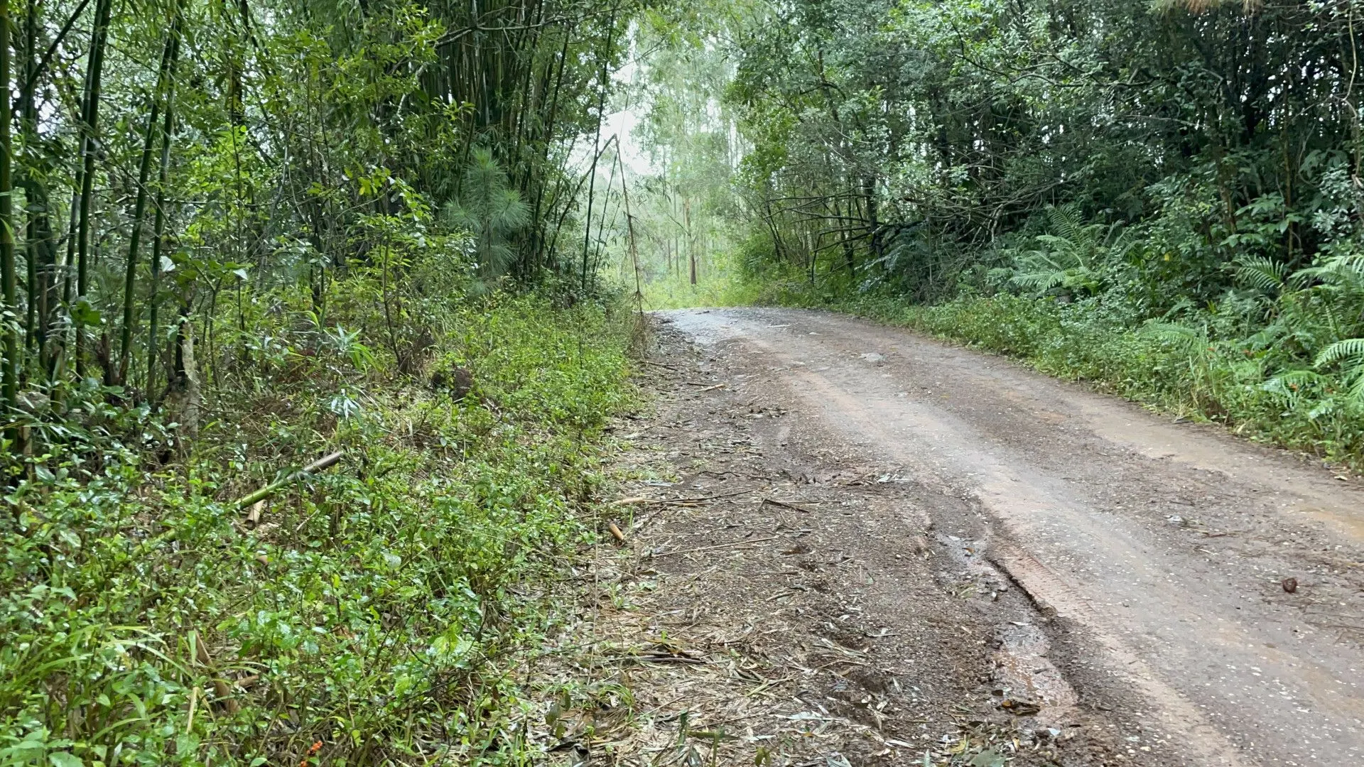Small farm for sale of 185 acres in Osório, RS, Brazil