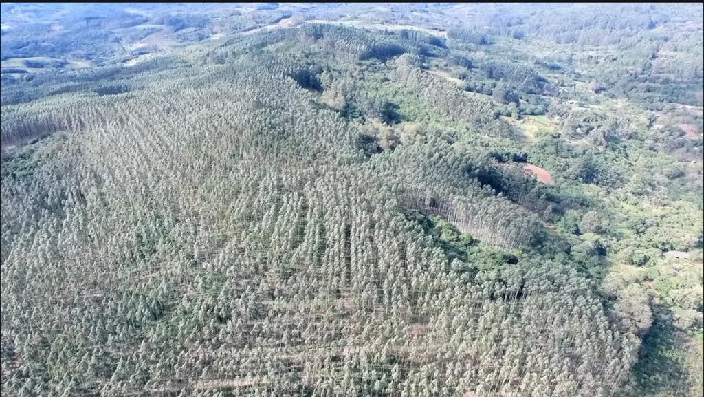 Small farm for sale of 185 acres in Osório, RS, Brazil
