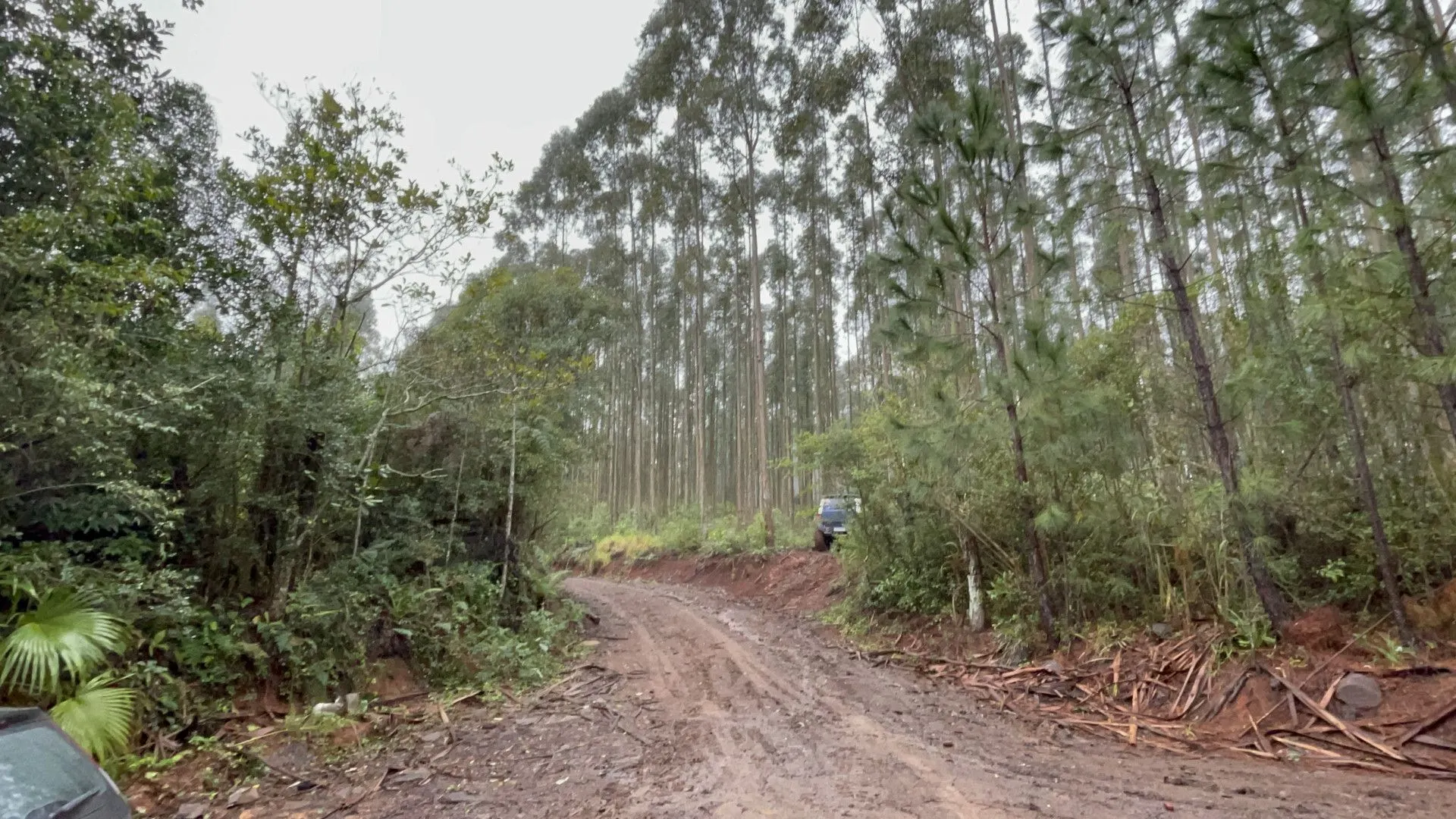 Small farm for sale of 185 acres in Osório, RS, Brazil