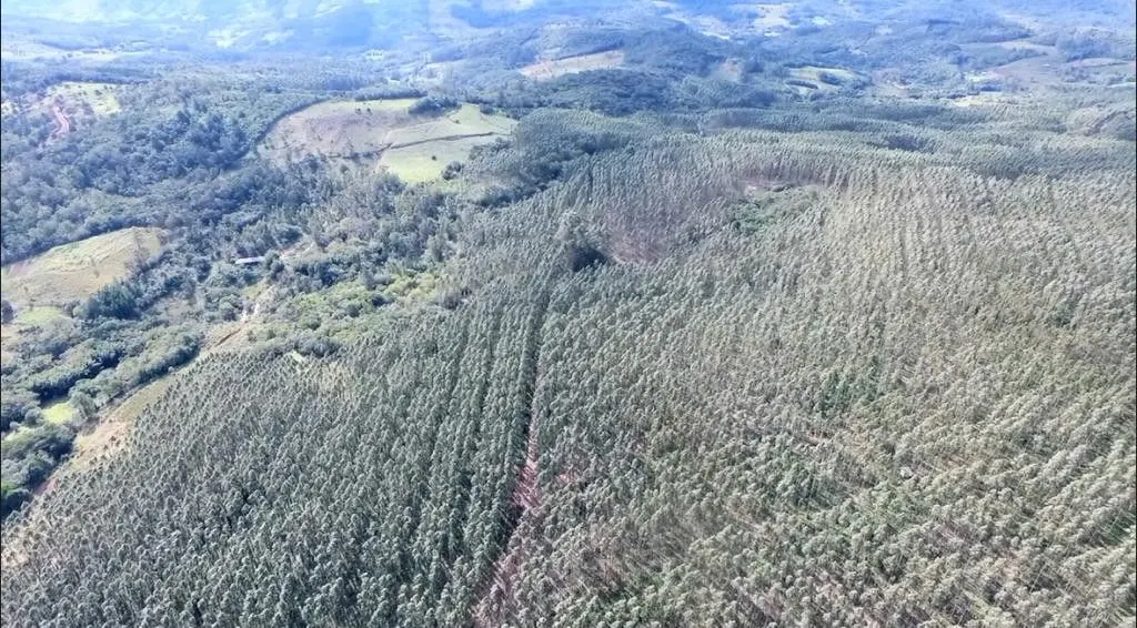 Small farm for sale of 185 acres in Osório, RS, Brazil