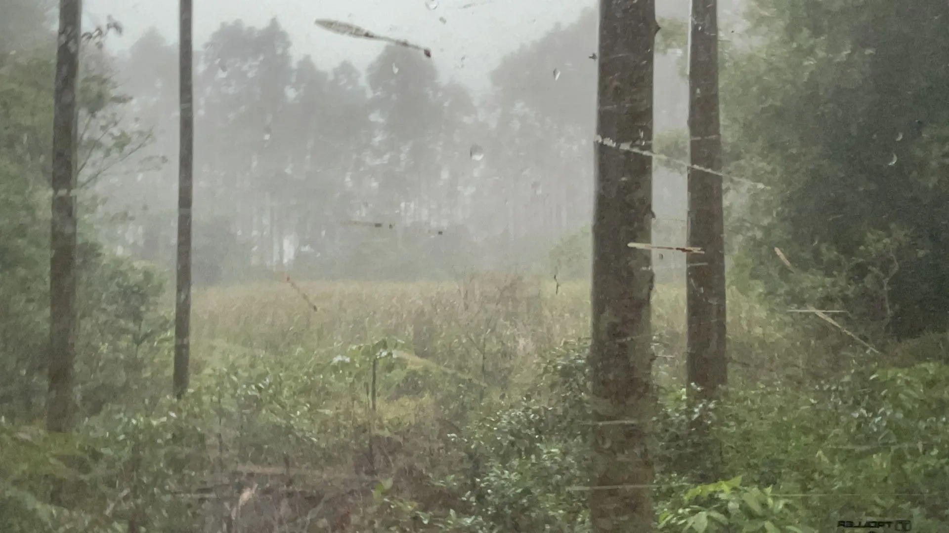 Small farm for sale of 185 acres in Osório, RS, Brazil