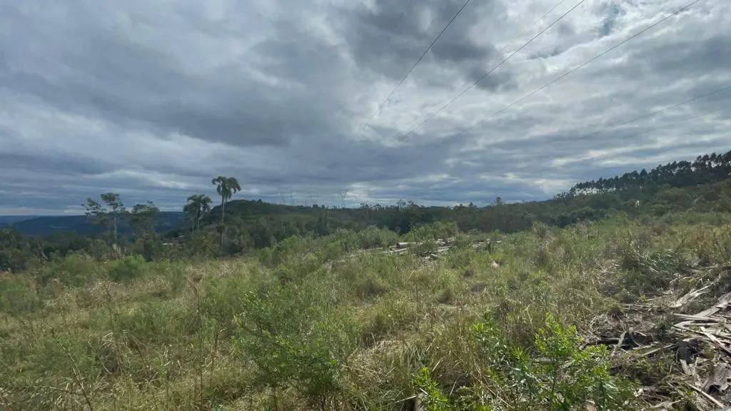 Small farm for sale of 185 acres in Osório, RS, Brazil
