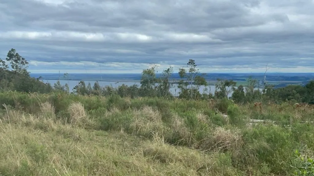 Small farm for sale of 185 acres in Osório, RS, Brazil