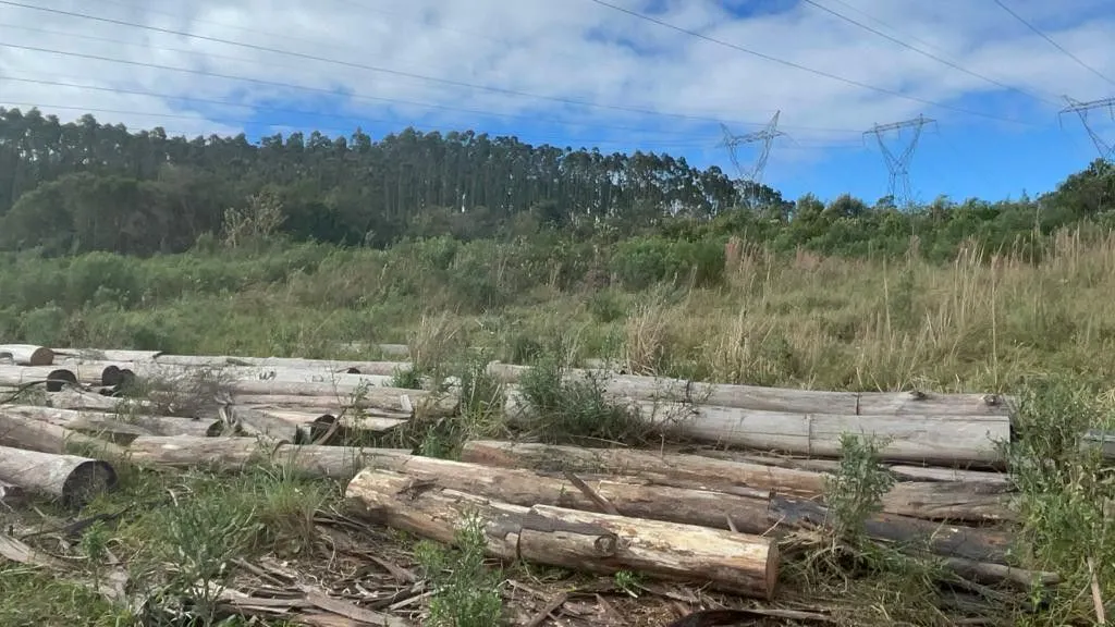 Small farm for sale of 185 acres in Osório, RS, Brazil