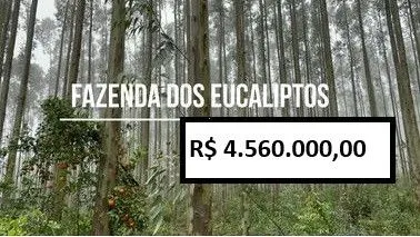 Small farm for sale of 185 acres in Osório, RS, Brazil