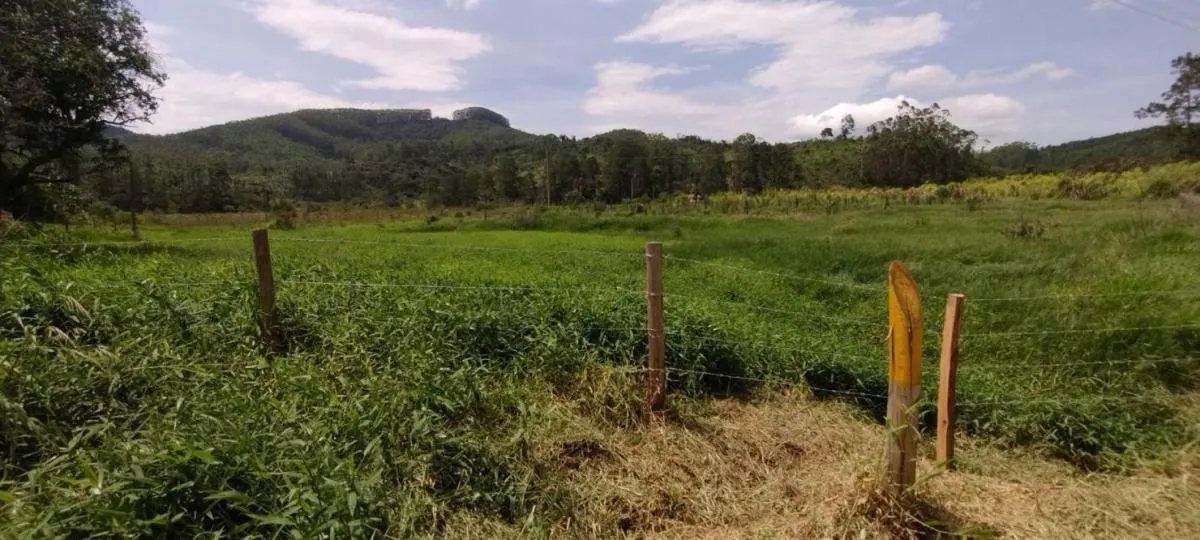 Fazenda à venda de 300 ha em Guaratinguetá, SP, Brasil