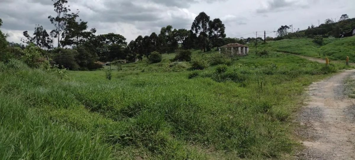 Fazenda à venda de 300 ha em Guaratinguetá, SP, Brasil