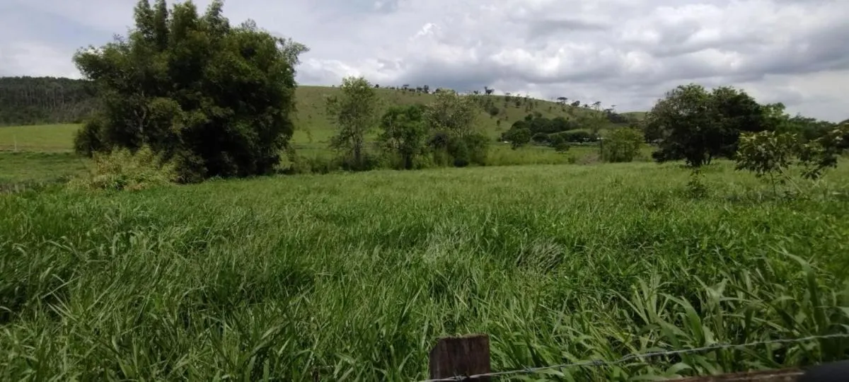 Fazenda à venda de 300 ha em Guaratinguetá, SP, Brasil