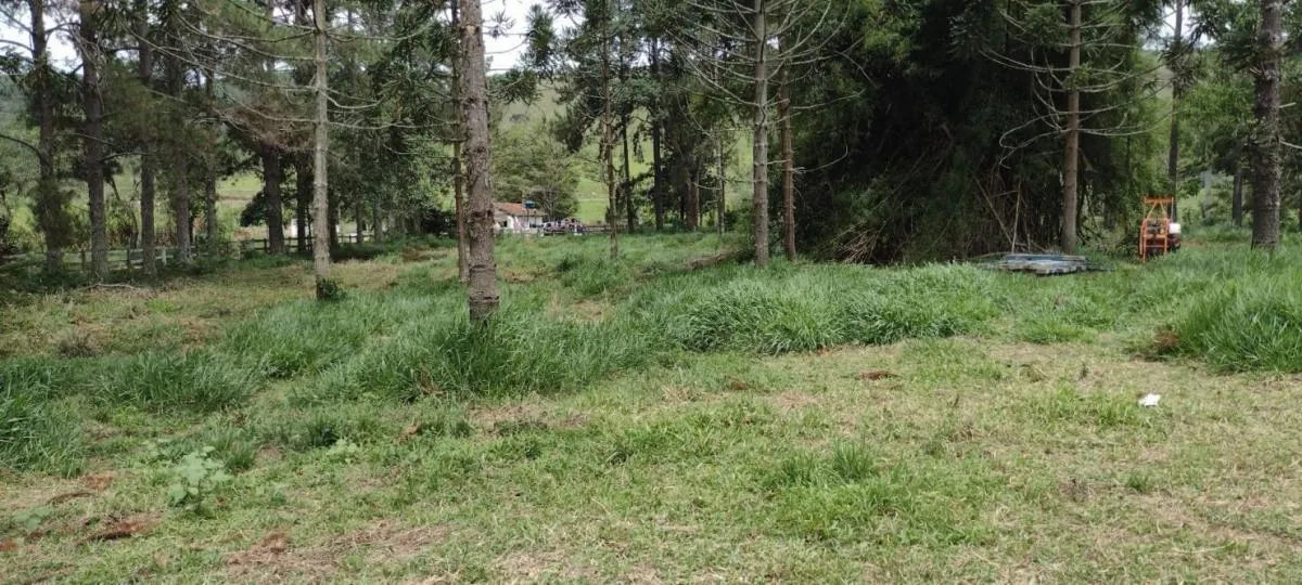 Fazenda à venda de 300 ha em Guaratinguetá, SP, Brasil