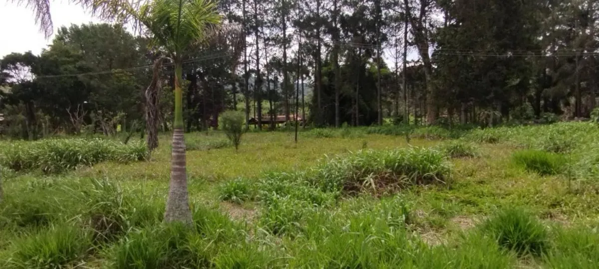 Fazenda à venda de 300 ha em Guaratinguetá, SP, Brasil