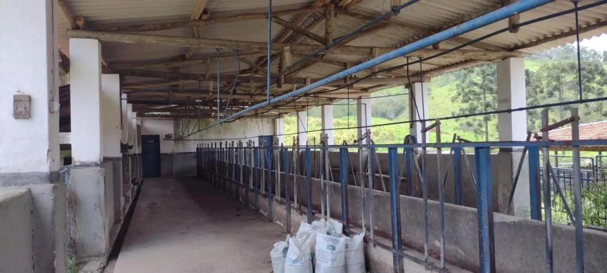 Fazenda à venda de 300 ha em Guaratinguetá, SP, Brasil