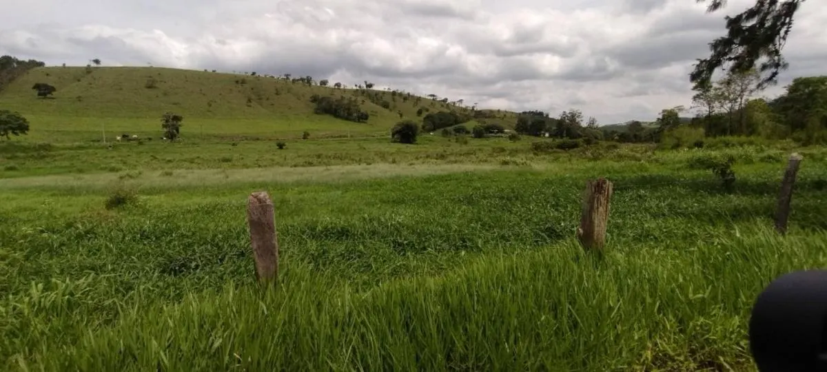 Fazenda à venda de 300 ha em Guaratinguetá, SP, Brasil