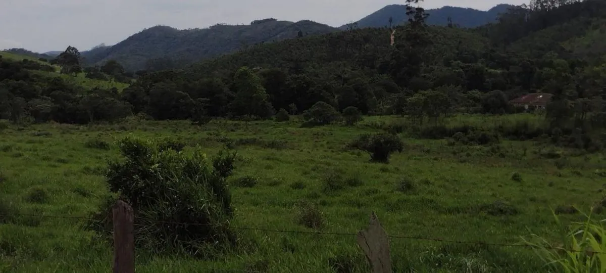 Fazenda à venda de 300 ha em Guaratinguetá, SP, Brasil