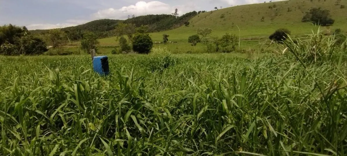 Fazenda à venda de 300 ha em Guaratinguetá, SP, Brasil