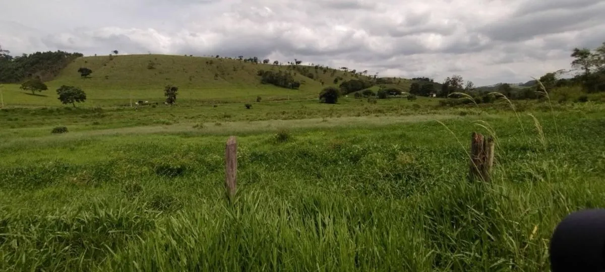 Fazenda à venda de 300 ha em Guaratinguetá, SP, Brasil