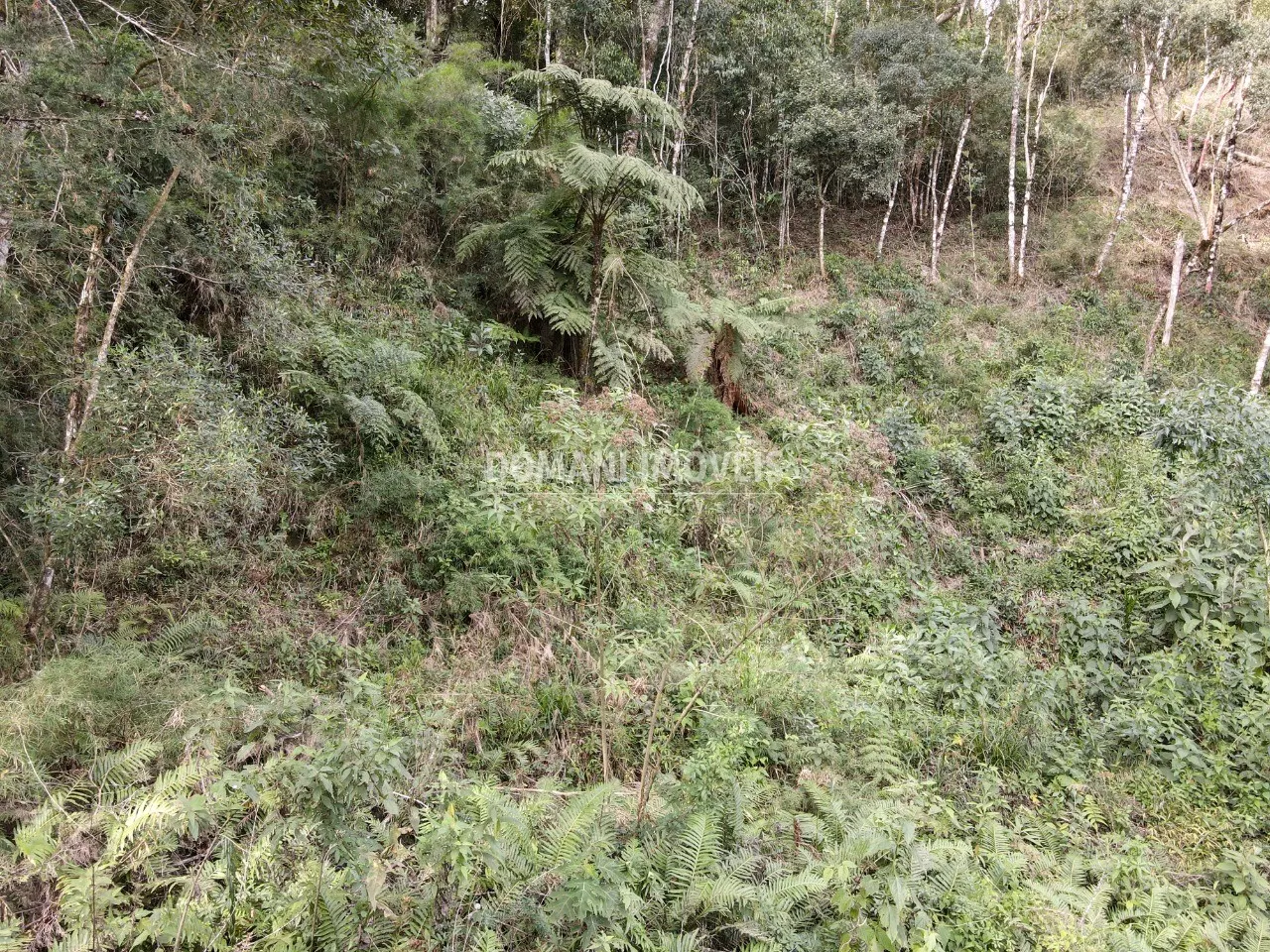 Plot for sale of 1,655 m² in Campos do Jordão, SP, Brazil
