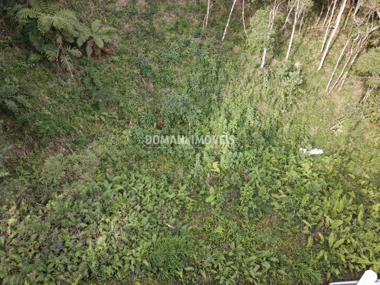 Plot for sale of 1,655 m² in Campos do Jordão, SP, Brazil