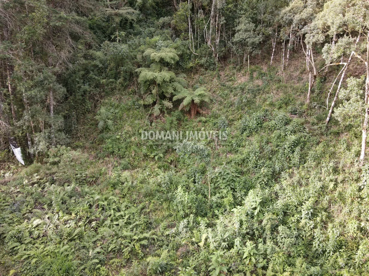 Plot for sale of 1,655 m² in Campos do Jordão, SP, Brazil
