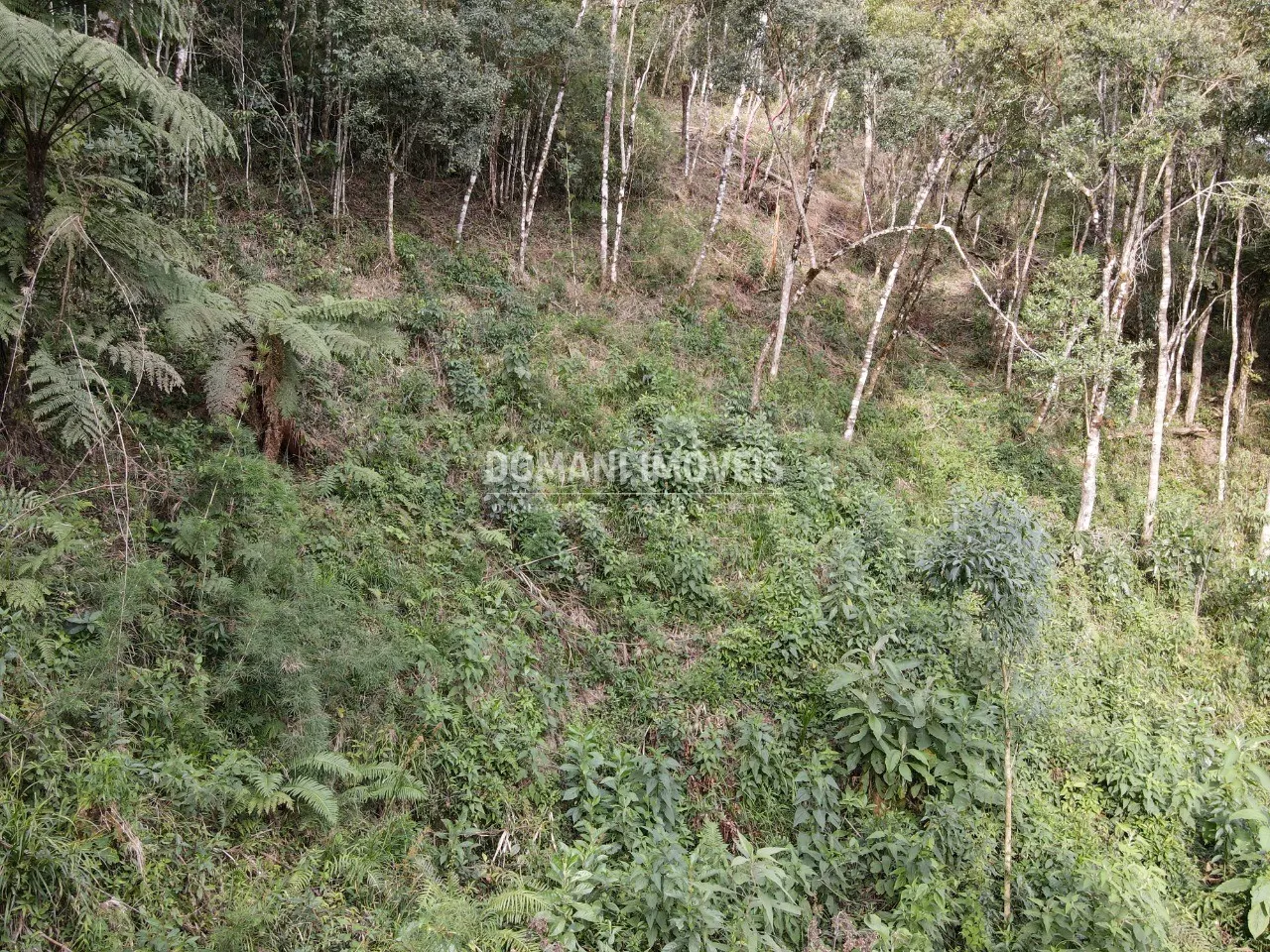 Plot for sale of 1,655 m² in Campos do Jordão, SP, Brazil