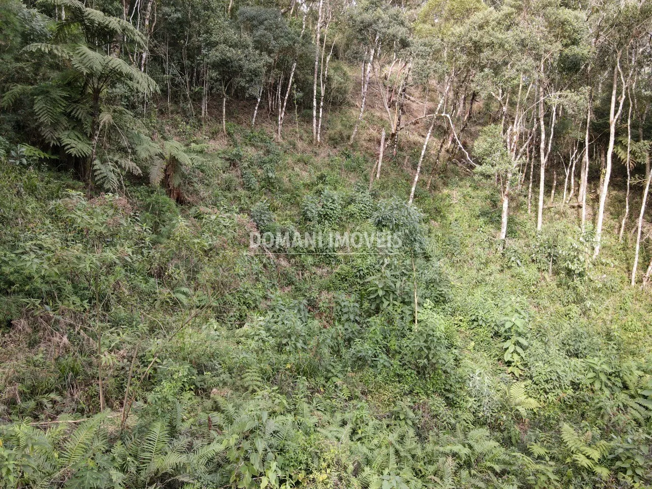 Plot for sale of 1,655 m² in Campos do Jordão, SP, Brazil
