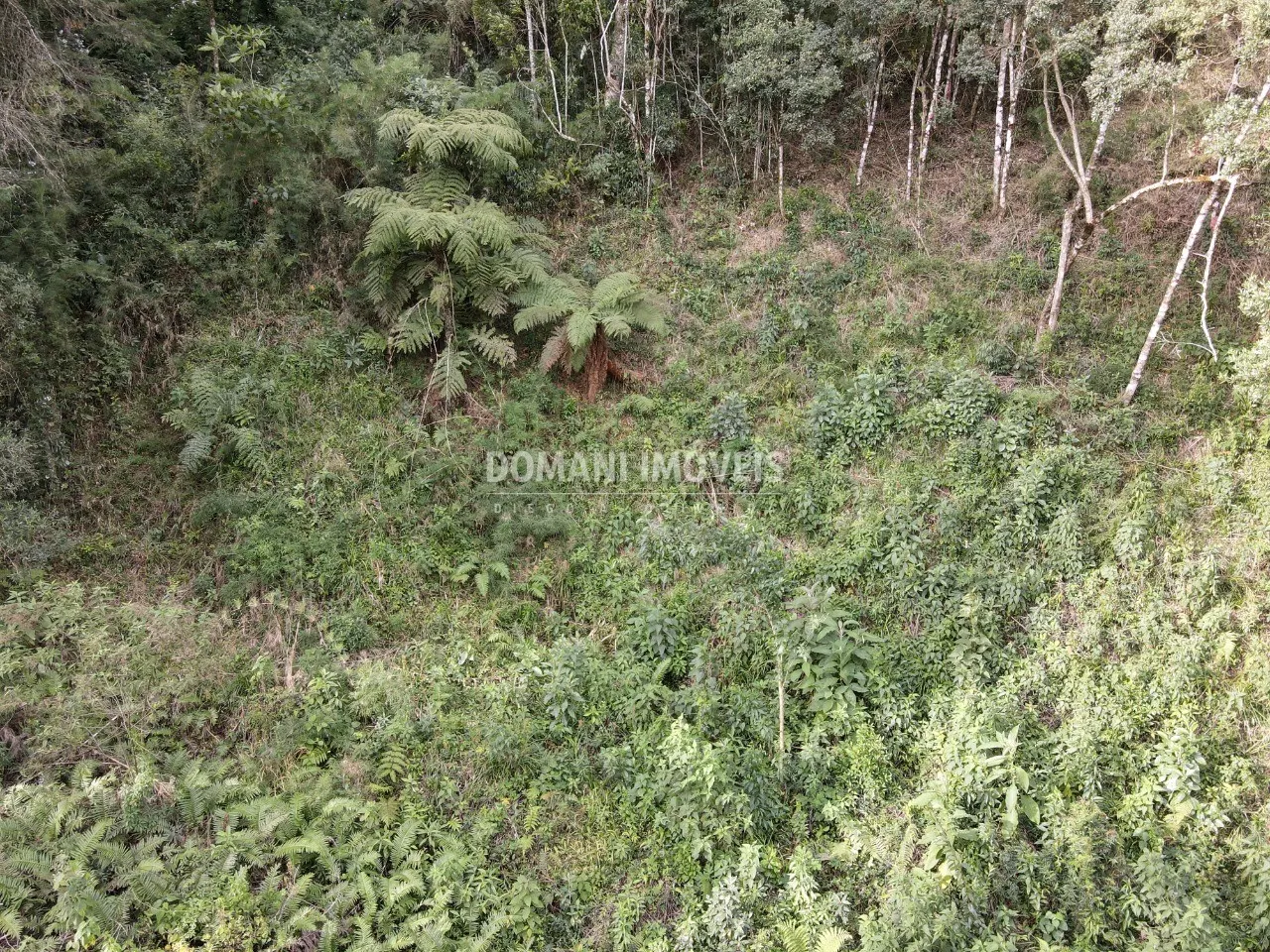 Plot for sale of 1,655 m² in Campos do Jordão, SP, Brazil