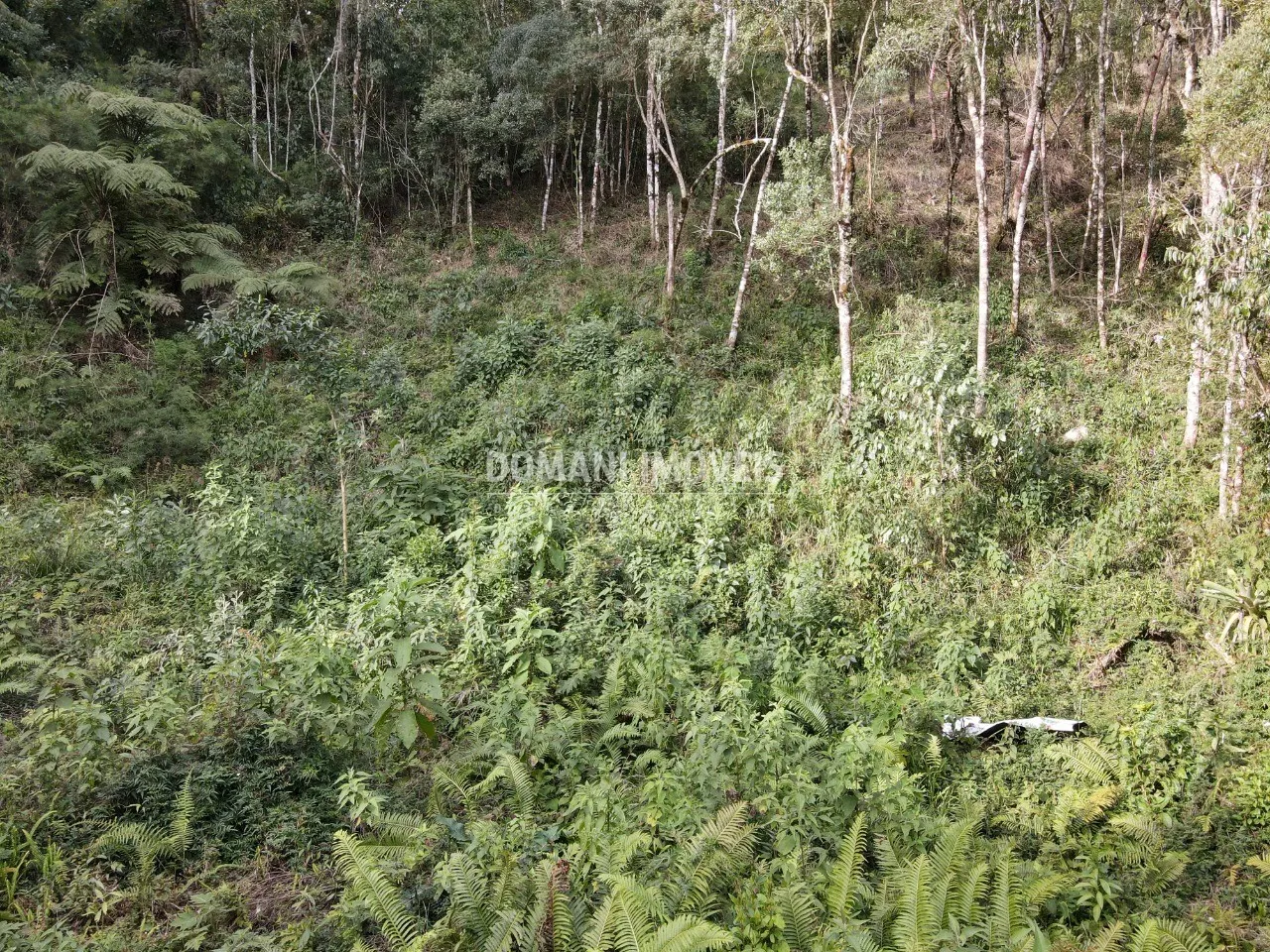 Plot for sale of 1,655 m² in Campos do Jordão, SP, Brazil