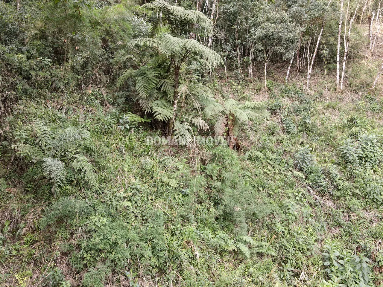 Plot for sale of 1,655 m² in Campos do Jordão, SP, Brazil