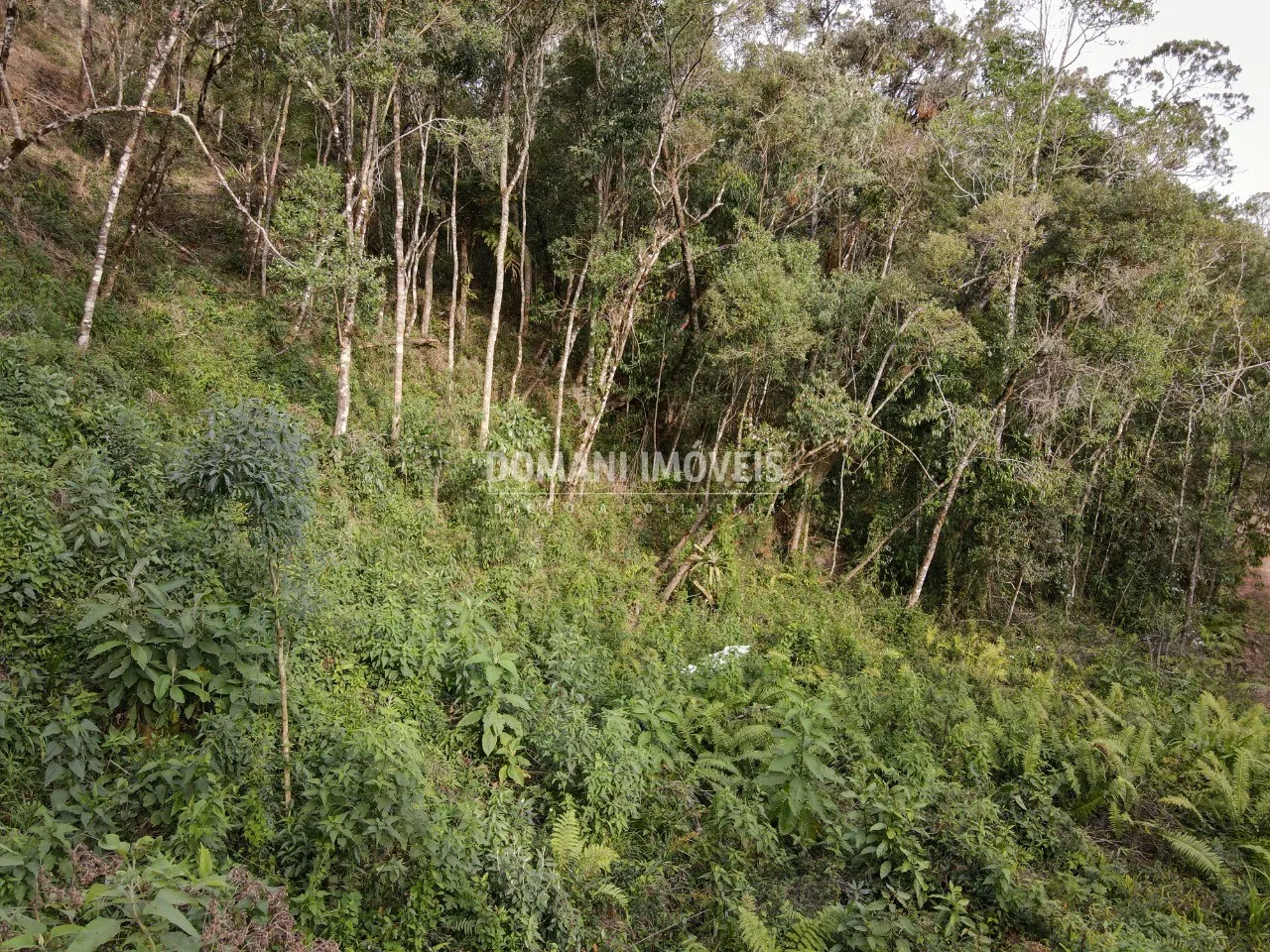 Plot for sale of 1,655 m² in Campos do Jordão, SP, Brazil
