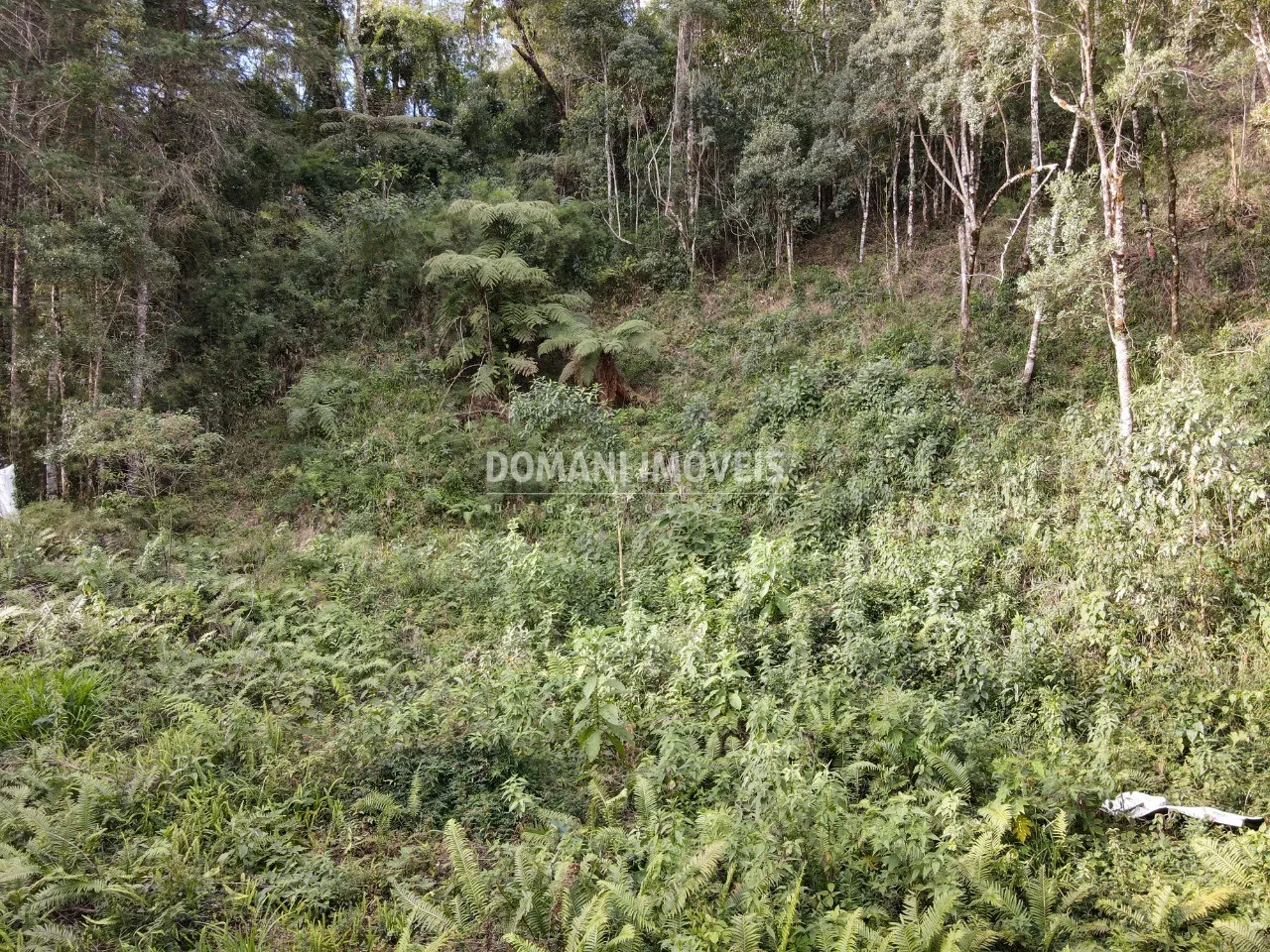 Plot for sale of 1,655 m² in Campos do Jordão, SP, Brazil