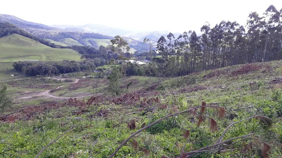 Terreno à venda de 7 ha em Rio do Campo, SC, Brasil