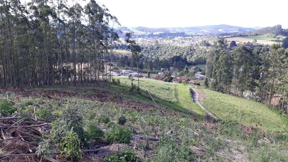Terreno à venda de 7 ha em Rio do Campo, SC, Brasil