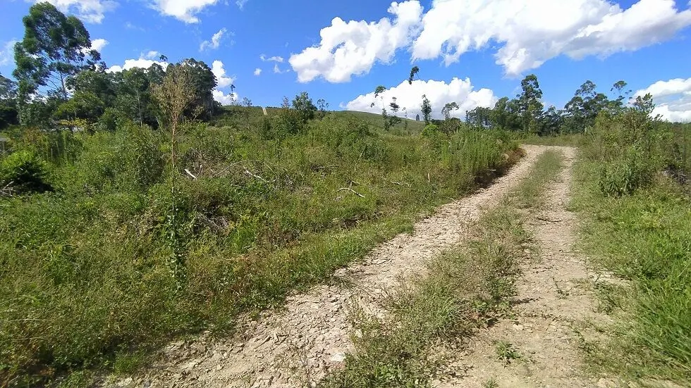 Terreno à venda de 7 ha em Rio do Campo, SC, Brasil