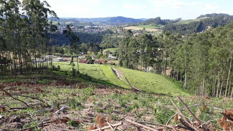 Terreno à venda de 7 ha em Rio do Campo, SC, Brasil