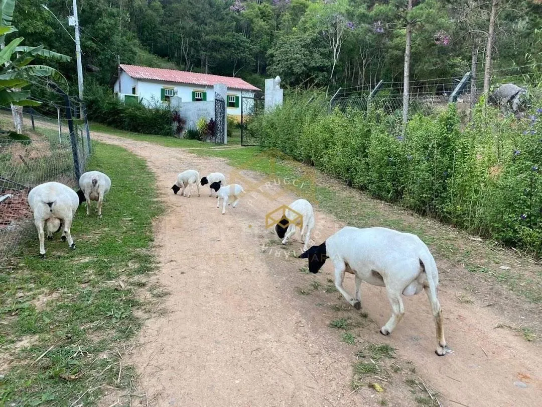 Sítio à venda de 17 ha em São Roque, SP, Brasil