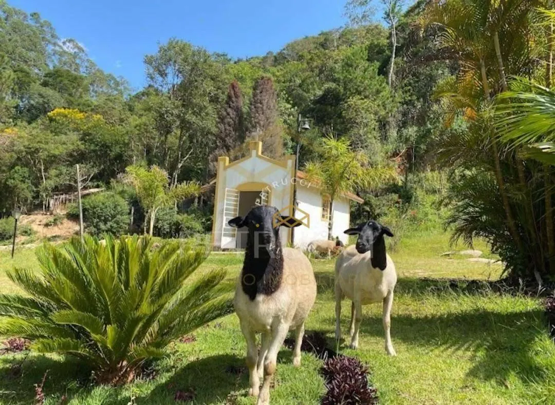 Sítio à venda de 17 ha em São Roque, SP, Brasil