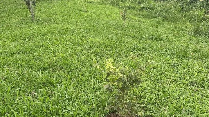 Chácara à venda de 2.900 m² em Três Cachoeiras, RS, Brasil