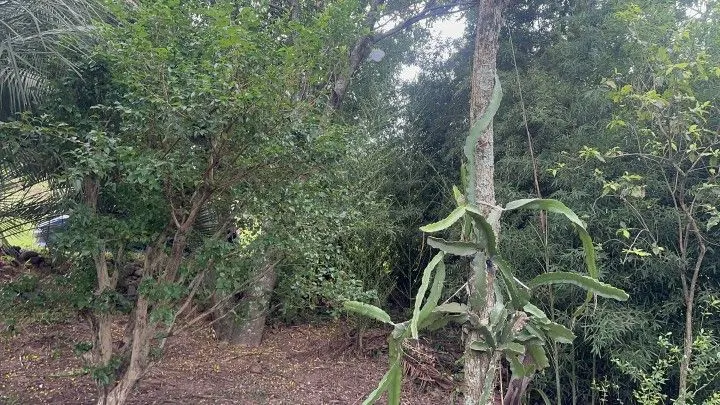 Chácara à venda de 2.900 m² em Três Cachoeiras, RS, Brasil