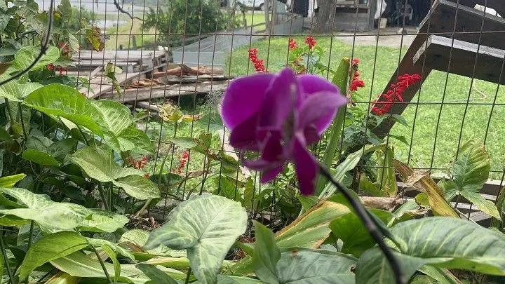 Chácara à venda de 2.900 m² em Três Cachoeiras, RS, Brasil