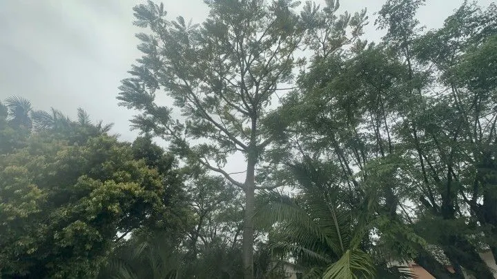 Chácara à venda de 2.900 m² em Três Cachoeiras, RS, Brasil