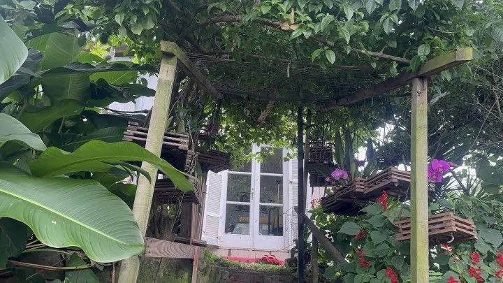 Chácara à venda de 2.900 m² em Três Cachoeiras, RS, Brasil